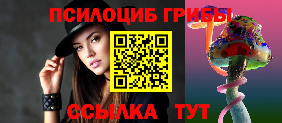 Галлюциногенные грибы Cubensis Гурьевск